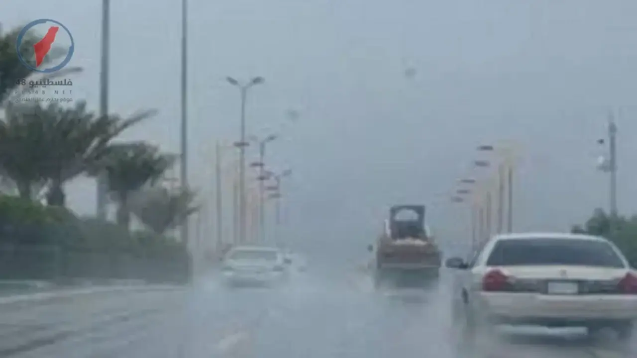 القاهرة تسجل ارتفاعاً في درجات الحرارة مع تحذيرات من الشبورة والرياح الخميس